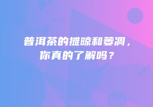 普洱茶的摊晾和萎凋，你真的了解吗？