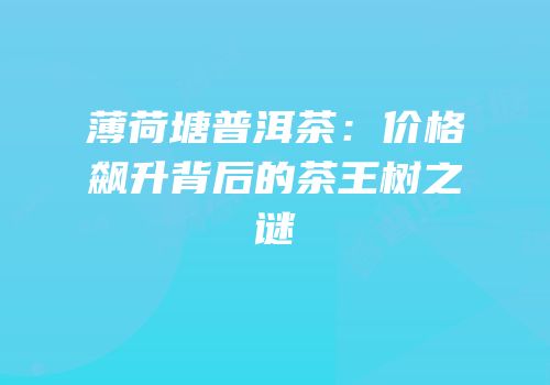 薄荷塘普洱茶：价格飙升背后的茶王树之谜