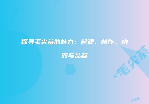 探寻毛尖茶的魅力：起源、制作、功效与品鉴