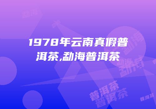 1978年云南真假普洱茶,勐海普洱茶