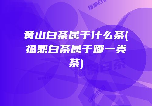 黄山白茶属于什么茶(福鼎白茶属于哪一类茶)