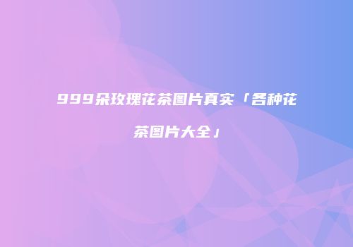 999朵玫瑰花茶图片真实「各种花茶图片大全」