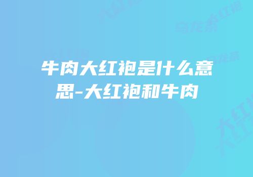牛肉大红袍是什么意思-大红袍和牛肉