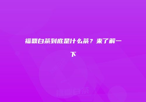 福鼎白茶到底是什么茶？来了解一下