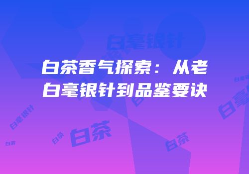 白茶香气探索：从老白毫银针到品鉴要诀
