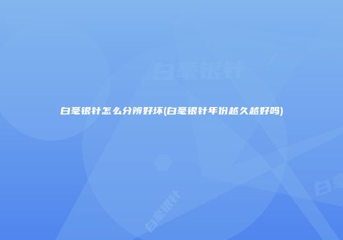 白毫银针怎么分辨好坏(白毫银针年份越久越好吗)