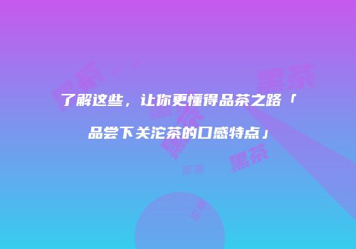 了解这些，让你更懂得品茶之路「品尝下关沱茶的口感特点」