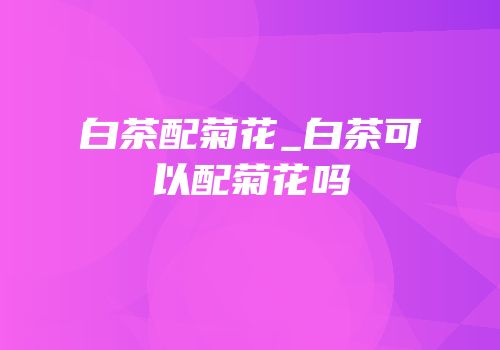 白茶配菊花_白茶可以配菊花吗
