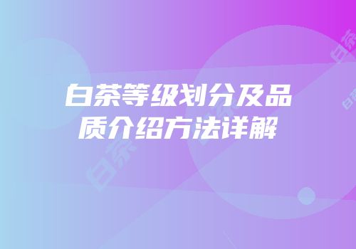白茶等级划分及品质介绍方法详解