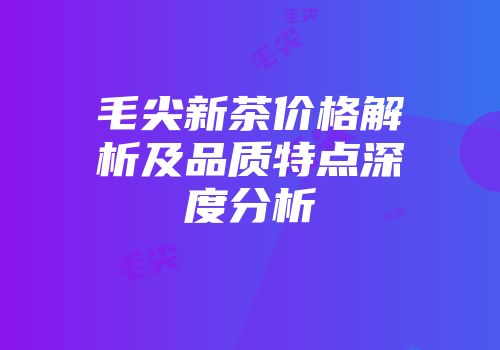 毛尖新茶价格解析及品质特点深度分析