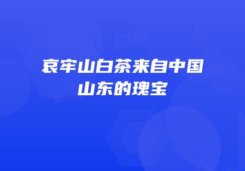 哀牢山白茶来自中国山东的瑰宝
