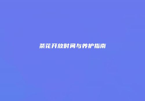 茶花开放时间与养护指南