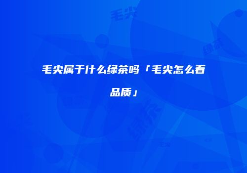 毛尖属于什么绿茶吗「毛尖怎么看品质」