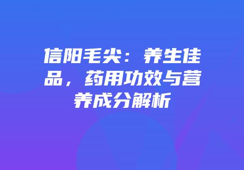 信阳毛尖：养生佳品，药用功效与营养成分解析