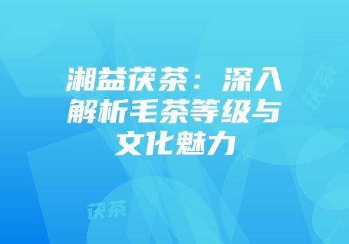 湘益茯茶：深入解析毛茶等级与文化魅力