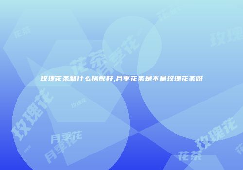 玫瑰花茶和什么搭配好,月季花茶是不是玫瑰花茶呀