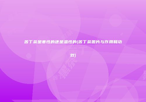 苦丁茶是寒性的还是温性的(苦丁茶图片与作用和功效)
