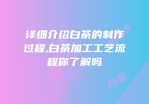 详细介绍白茶的制作过程,白茶加工工艺流程你了解吗
