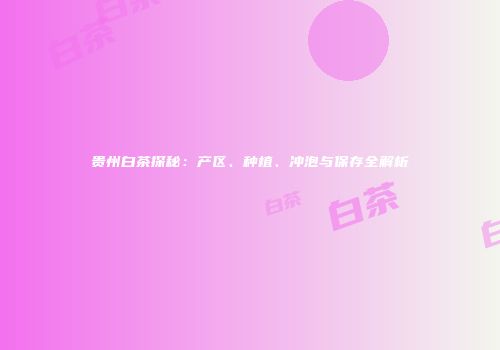 贵州白茶探秘：产区、种植、冲泡与保存全解析