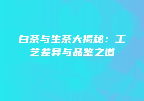 白茶与生茶大揭秘：工艺差异与品鉴之道