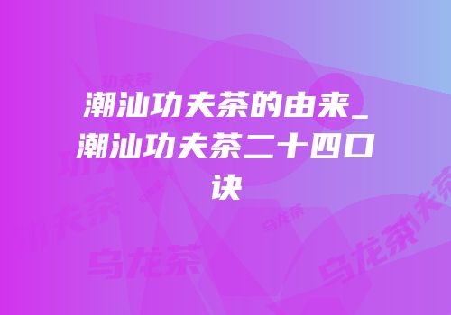 潮汕功夫茶的由来_潮汕功夫茶二十四口诀