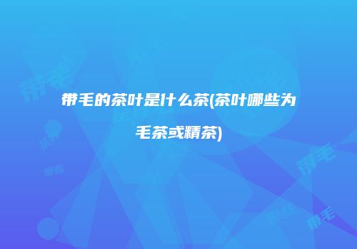 带毛的茶叶是什么茶(茶叶哪些为毛茶或精茶)