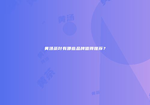 黄汤茶叶有哪些品牌值得推荐？