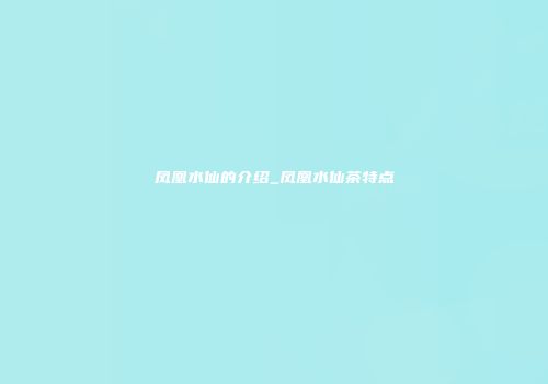 凤凰水仙的介绍_凤凰水仙茶特点