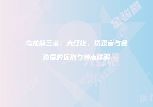 乌龙茶三宝：大红袍、铁观音与金骏眉的区别与特点详解