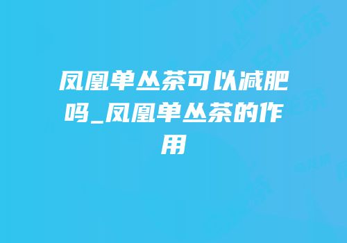 凤凰单丛茶可以减肥吗_凤凰单丛茶的作用