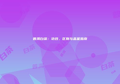 普洱白茶：功效、区别与品鉴指南