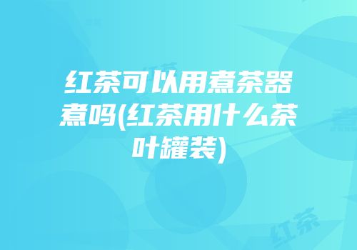 红茶可以用煮茶器煮吗(红茶用什么茶叶罐装)