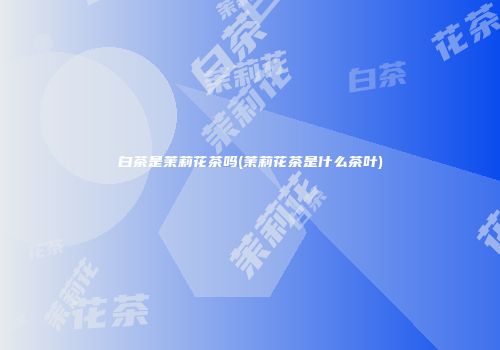 白茶是茉莉花茶吗(茉莉花茶是什么茶叶)