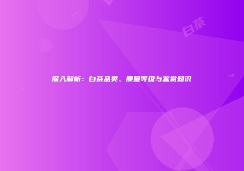 深入解析：白茶品类、质量等级与鉴赏知识