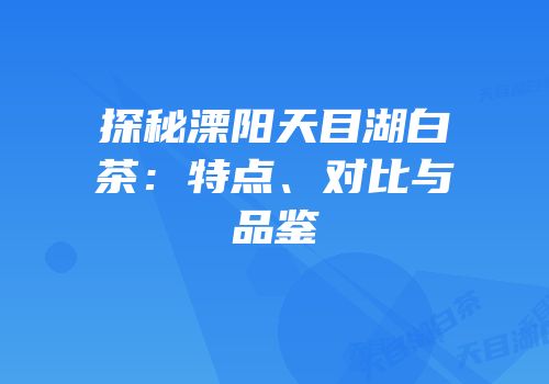 探秘溧阳天目湖白茶：特点、对比与品鉴