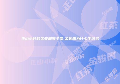 正山小种和金骏眉哪个贵,金骏眉为什么毛绒多