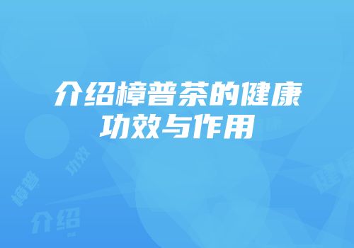介绍樟普茶的健康功效与作用