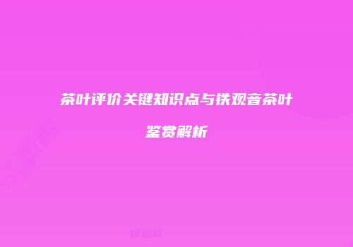 茶叶评价关键知识点与铁观音茶叶鉴赏解析