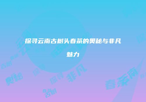 探寻云南古树头春茶的奥秘与非凡魅力