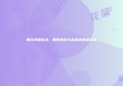 夏日消暑佳选：如何挑选与品鉴优质菊花茶