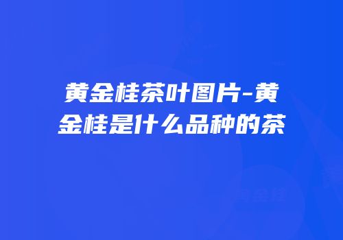 黄金桂茶叶图片-黄金桂是什么品种的茶