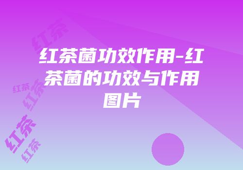 红茶菌功效作用-红茶菌的功效与作用图片