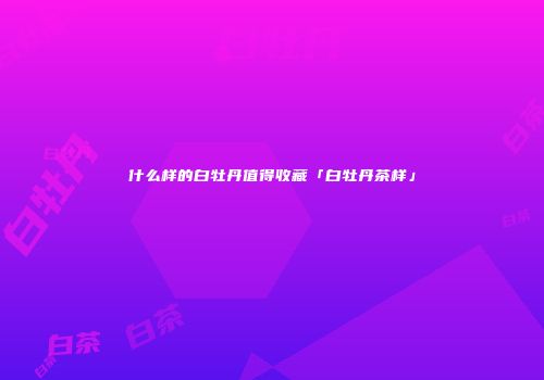 什么样的白牡丹值得收藏「白牡丹茶样」