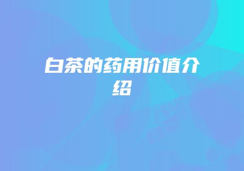 白茶的药用价值介绍