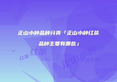 正山小种品种分类「正山小种红茶品种主要有哪些」