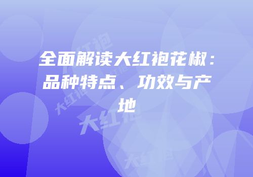 全面解读大红袍花椒：品种特点、功效与产地