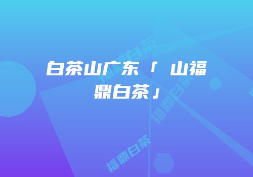 白茶山广东「扆山福鼎白茶」