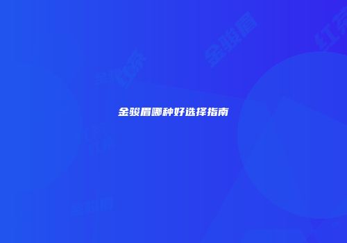 金骏眉哪种好选择指南
