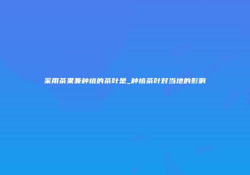 采用茶果兼种植的茶叶是_种植茶叶对当地的影响