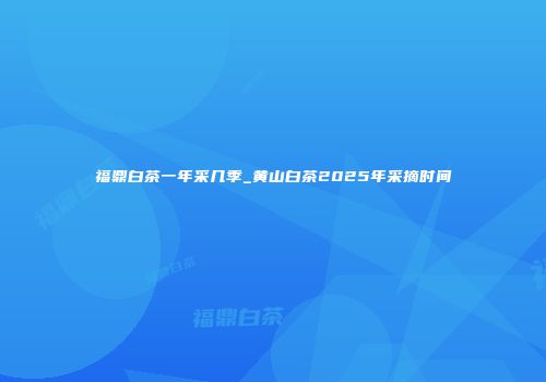 福鼎白茶一年采几季_黄山白茶2025年采摘时间